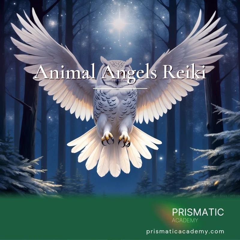 Animal Angels Reiki Online Course