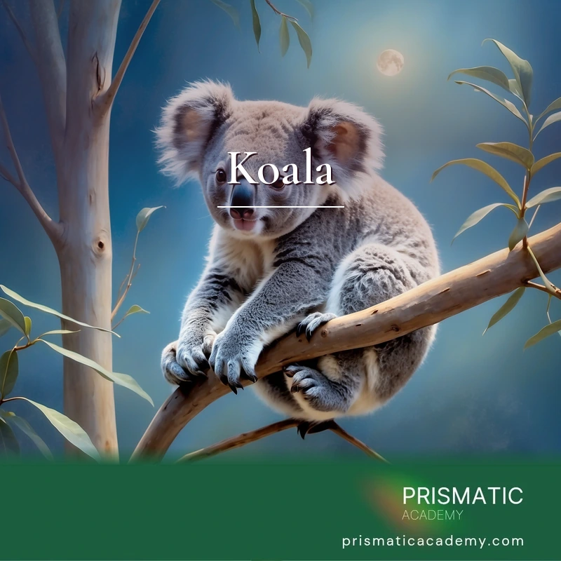 Koala Healing Attunement Certification Training with Manual