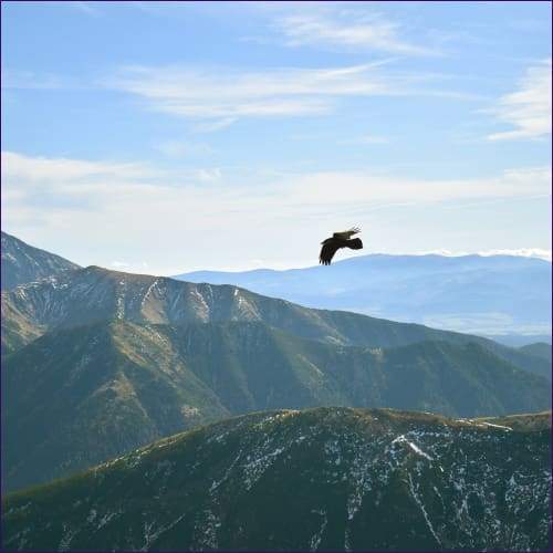 Spirit Guide Activation – 7 Powerful Activations for Divine Connection